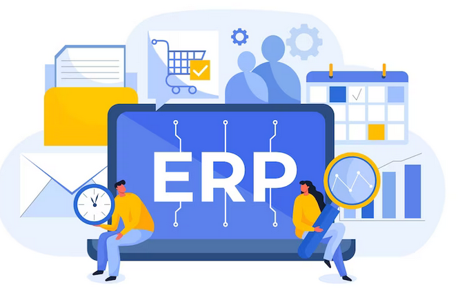 Enterprise software development